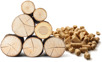 Heizen mit Holz und Holzpellets Heizen mit Holz und Holzpellets